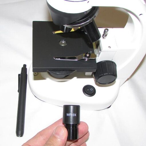 بدنه ، عدسی چشمی و چراغ قوه خودکاری که منبع نور بالای این میکروسکوپ است