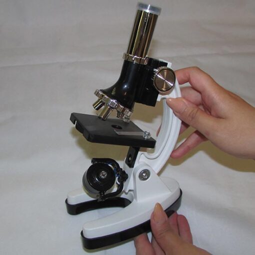 مشاهده ابعاد میکروسکوپ دانش آموزی 900 برابر در دست